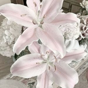 Meet your Posher, Katy